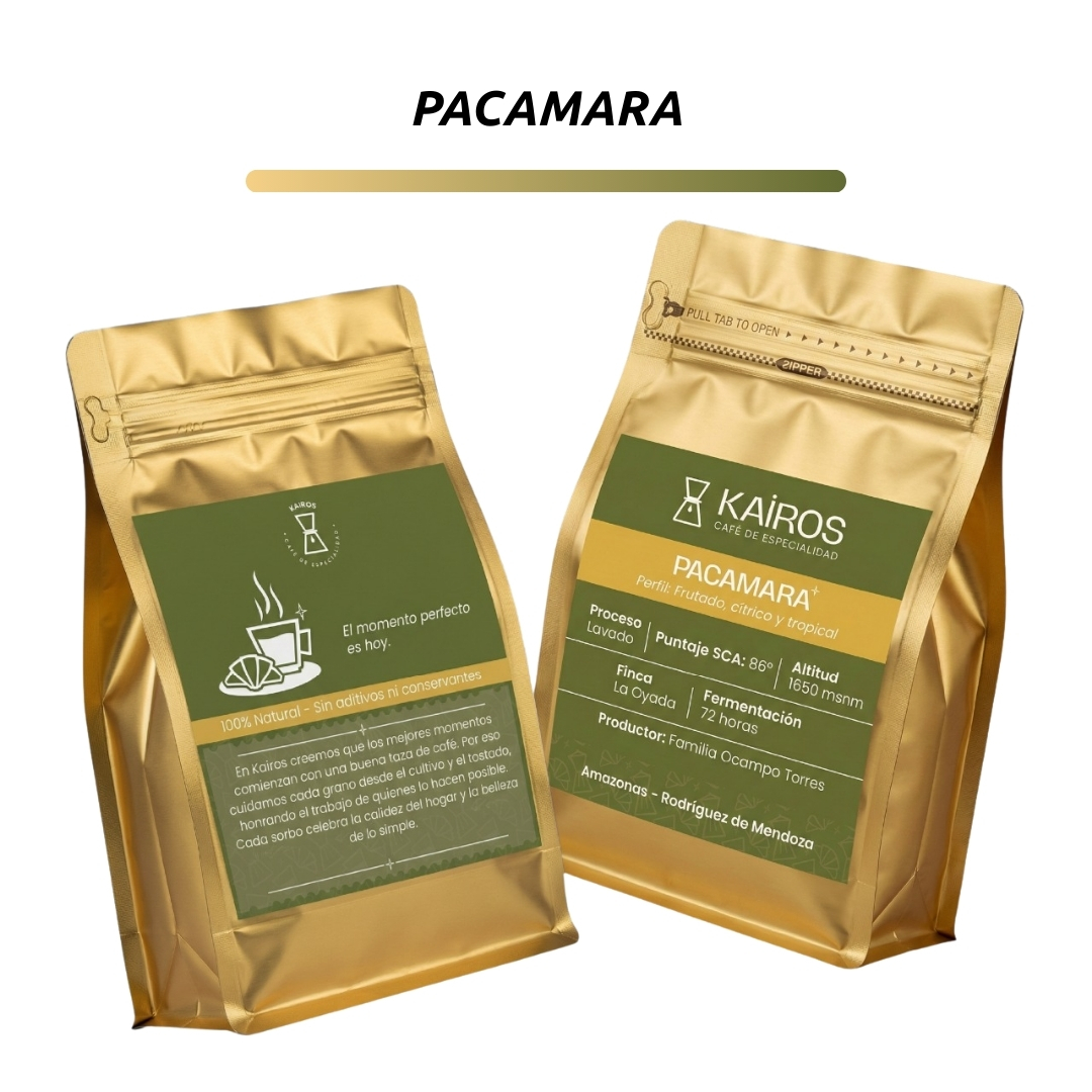 Pacamara