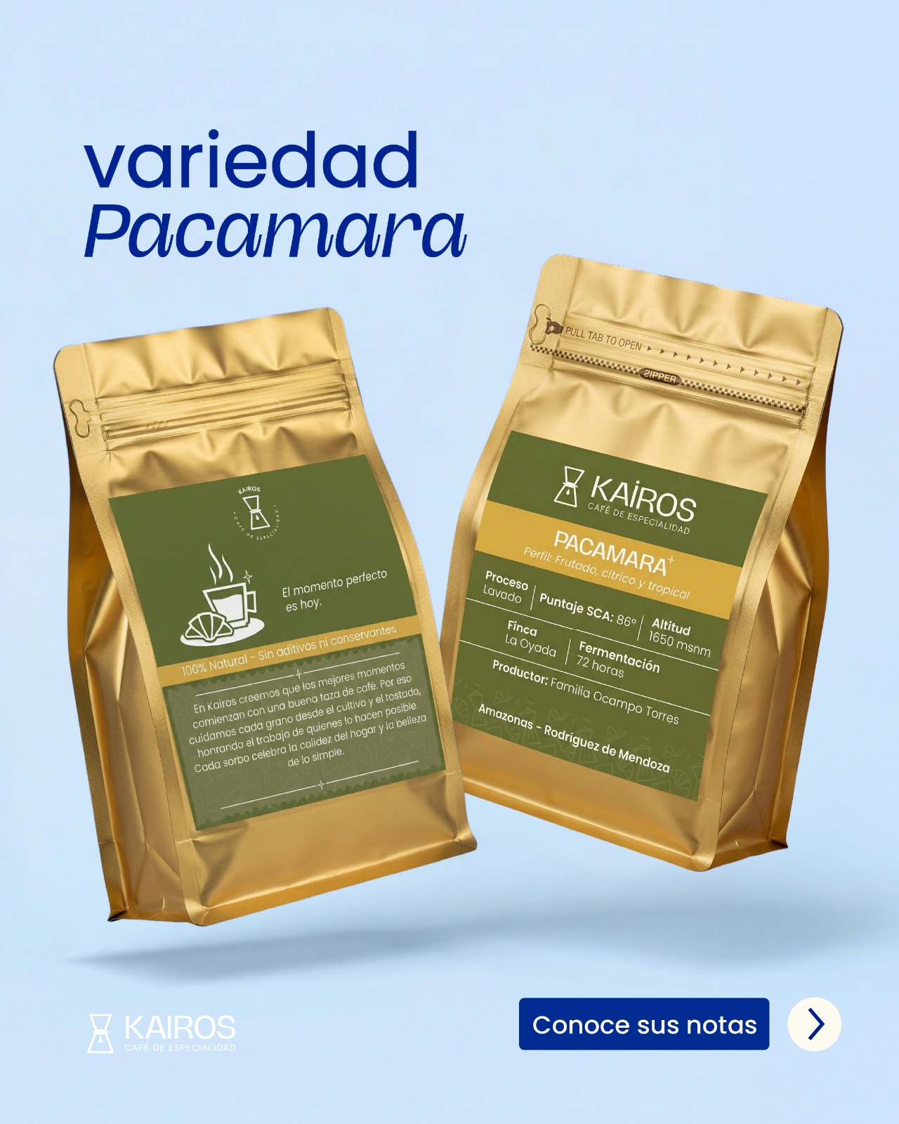 Pacamara - Image 2